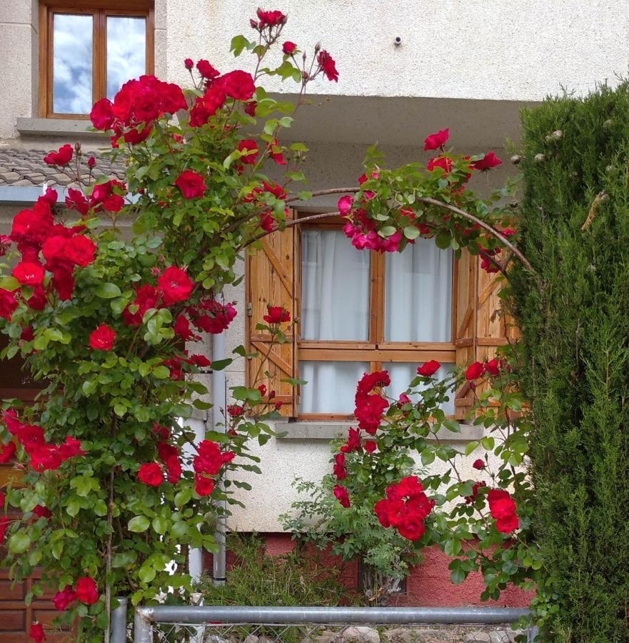 Villa Cocolo Вильянуа Экстерьер фото